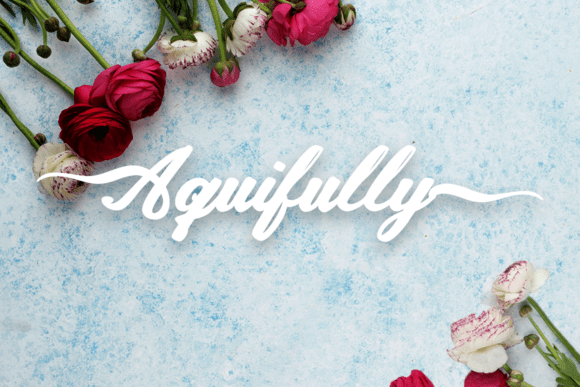 Aquifully Font Review: Elevating Campaigns with Elegant Script