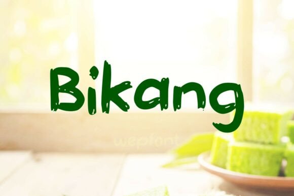 Bikang: The Script Handwritten Font for Magnetic Campaigns