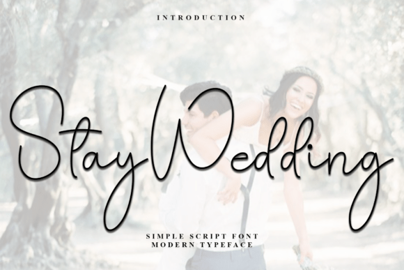 Stay Wedding Font: A Soft Script for Modern Web Design